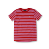 Still-T-Shirt Candy Stripes